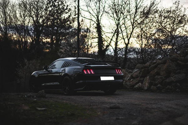 Black sport car parking in the forest — Stock Photo, Image