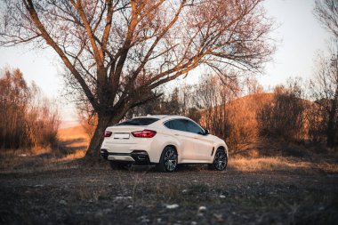 Ormana park etmiş kırmızı ksenon ışıklı beyaz bir sedan araba.