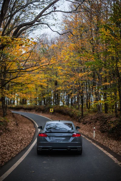 秋の森の中で銀スポーツ車の商業 — ストック写真