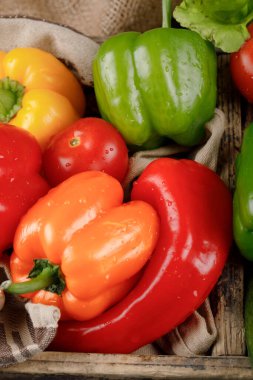 Kırmızı, yeşil ve turuncu dolma biber..