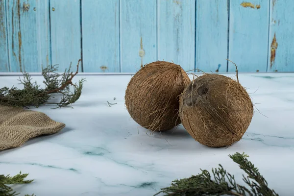 Frutto di cocco marrone isolato su sfondo blu — Foto Stock