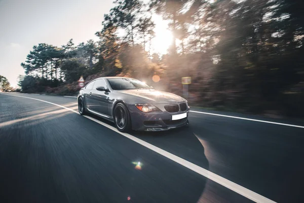 Grey business class sedan on the forest highway in the sunlight — Stock Photo, Image