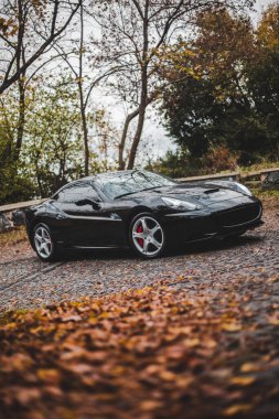 Siyah birinci sınıf bir sedan ormanda park ediyor.