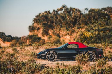 Yeşil ağaçların arasından geçen yeşil çölde kırmızı çatılı siyah bir süvari.