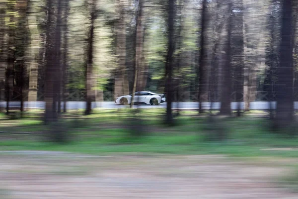 Белый седан едет по зеленым деревьям — стоковое фото