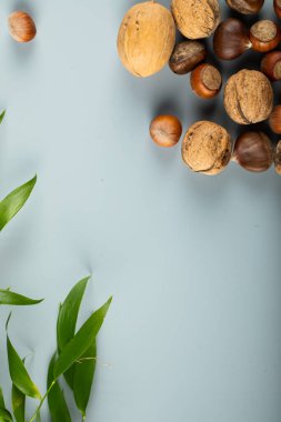 Mavi arka planda fındık ve kestane