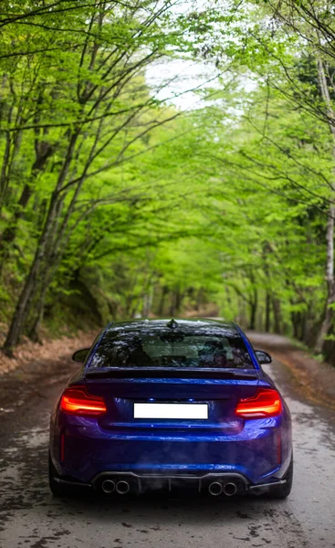 Sedán azul conduciendo en el bosque romántico bajo árboles verdes, vista desde atrás — Foto de Stock