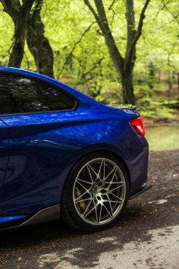 Mavi sedan romantik ormanda yeşil ağaçların altında, arka kırmızı ışıklar ve tekerlek altında