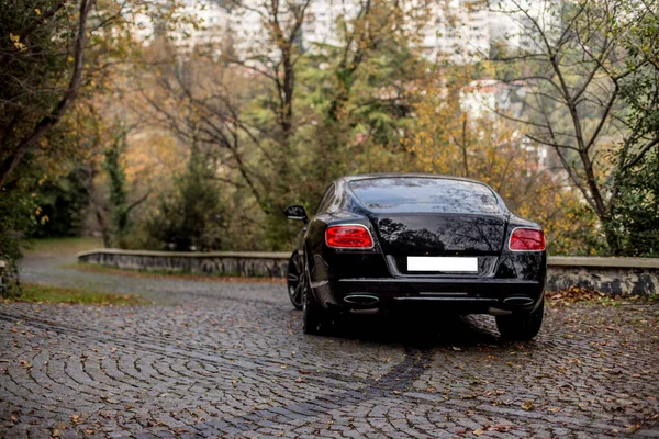 Yeşil bir parkta siyah lüks bir sedan. — Stok fotoğraf