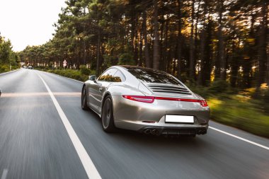 Gümüş spor model yarış arabası orman manzarası arkadan