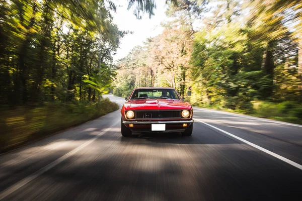 Un coupeon rojo de diseño clásico en el camino del bosque —  Fotos de Stock