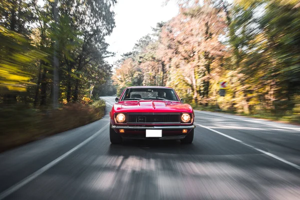 Un coupeon de diseño clásico rojo el camino del bosque, vista frontal —  Fotos de Stock