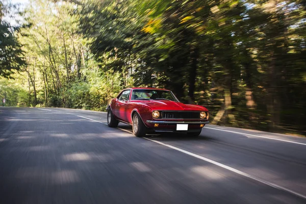 Berline vintage rouge voyageant dans la forêt — Photo