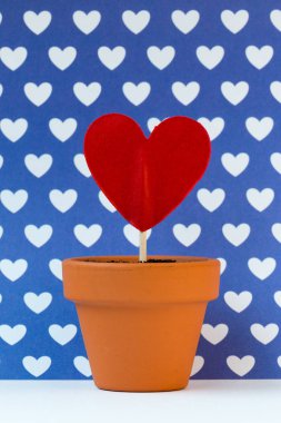 mavi bir arka plan karşı sana aşkım büyüyor