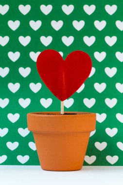 yeşil bir arka plan karşı sana aşkım büyüyor