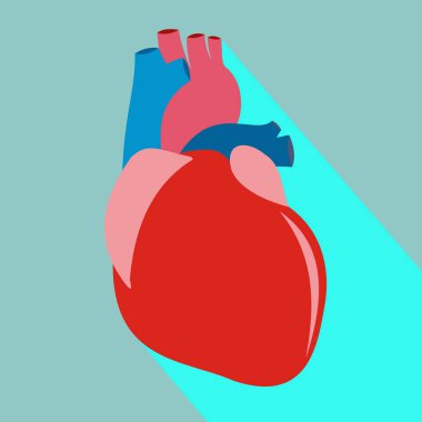 kalp uzun gölge ile