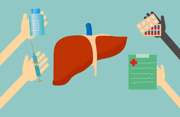 karaciğer tedavisinde. Vektör çizim