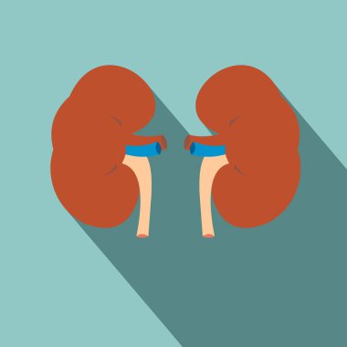 Gölge insan böbrek simgesiyle