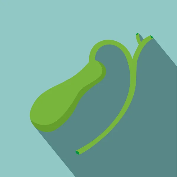 Gölge insan safra kesesi anatomisi gösteren resim