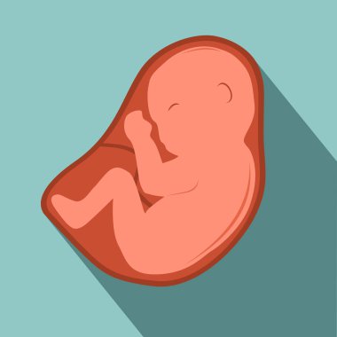 Embriyo uzun gölge vektör simgesi.