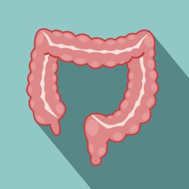 kalın bağırsak. Uzun Gölge, vektör çizimler