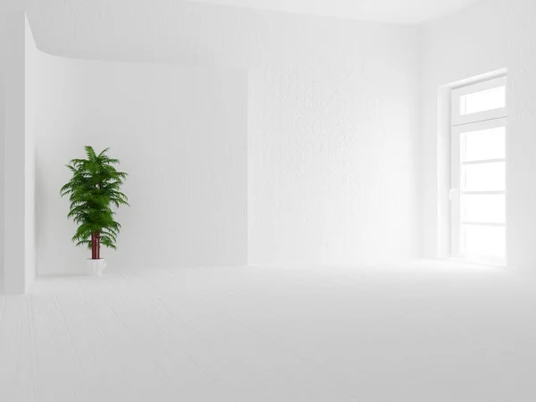 Зелена рослина в кімнаті, 3d — стокове фото