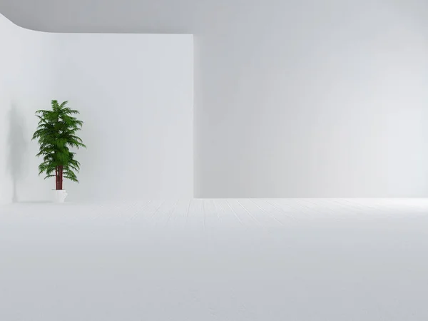 Green plant in the room, 3d — Stock Photo, Image