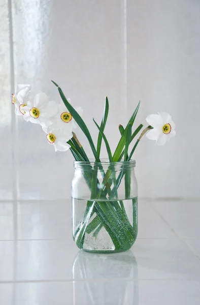 Нарцисс в стеклянной банке — стоковое фото