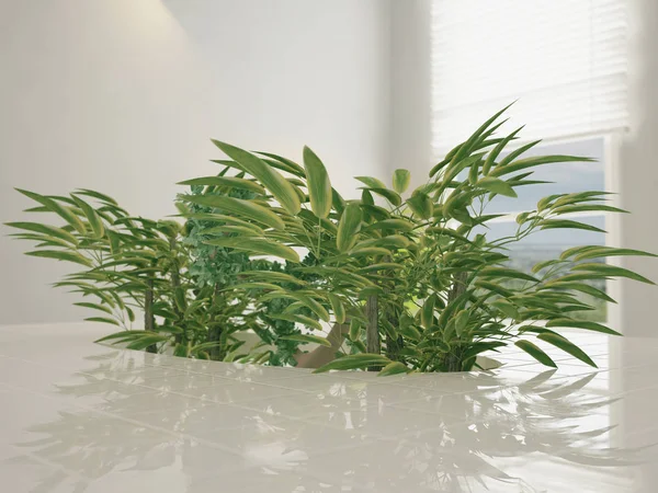 Растения в нише столешницы, 3d — стоковое фото