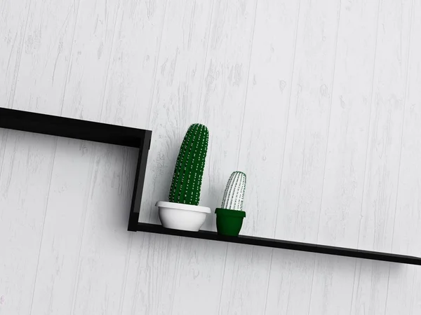 Két kaktusz a polcon, 3d — Stock Fotó