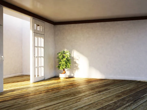 Plante dans la chambre vide, 3d — Photo