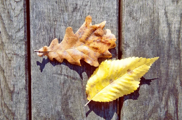 Zwei Blätter auf dem Holztisch, Herbst — Stockfoto