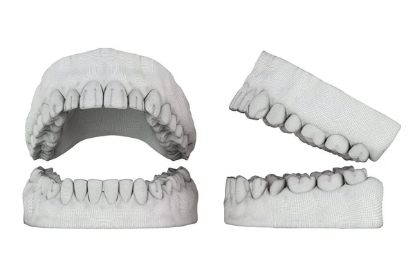 Zamknij Uroda Zęby Opieki Zdrowotnej Białym Tle Wybiórcze Skupienie Renderowanie — Zdjęcie stockowe