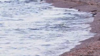 Gün batımında kıyıda. Deniz dalgaları gün batımında kıyıya vurur..