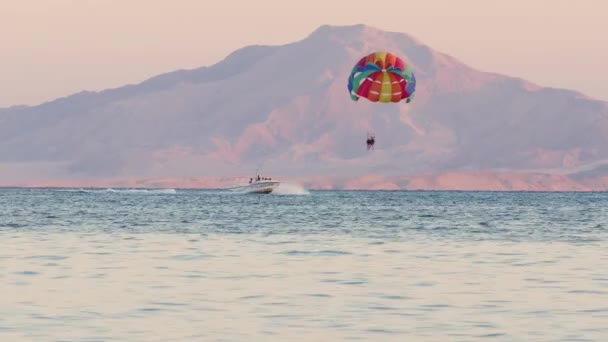 Parasailing Tanınmayan Insanlar Renkli Bir Paraşütle Bir Motorlu Tekne Tarafından — Stok video