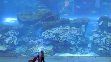 Dubai, Uae - 10 Aralık 2019: İnsanlar Dubai AVM 'de köpekbalığı ve vatoz dolu büyük bir akvaryumun önünden geçiyor..