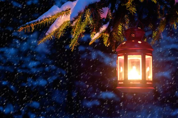 Veille de Noël dans une forêt enneigée . — Photo