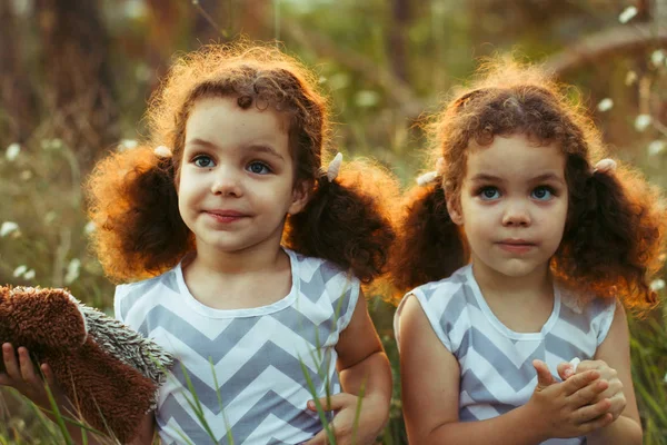 Sisters twin toddlers kissing and laughing in the summer outdoors. Curly cute girls. Friendship in childhood. Warm sunligh — Stock Photo, Image