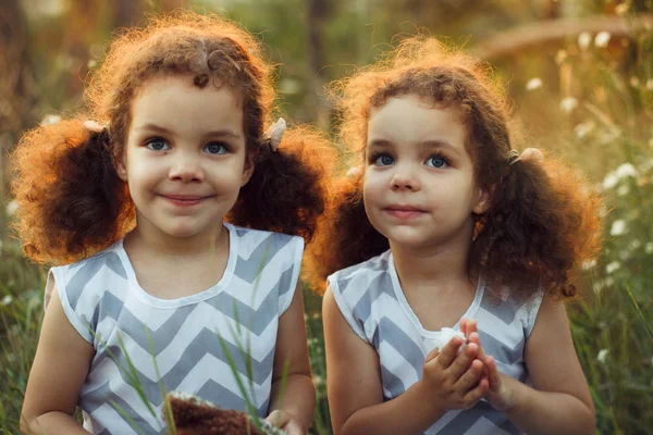 Hermanas gemelas niños pequeños besándose y riendo en el verano al aire libre. Chicas lindas rizadas. Amistad en la infancia. Cálido sunligh —  Fotos de Stock