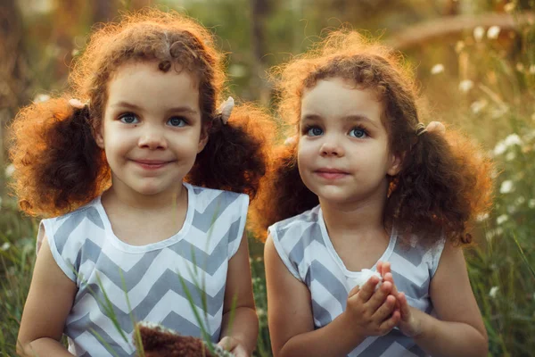 Sisters twin toddlers kissing and laughing in the summer outdoors. Curly cute girls. Friendship in childhood. Warm sunligh — Stock Photo, Image