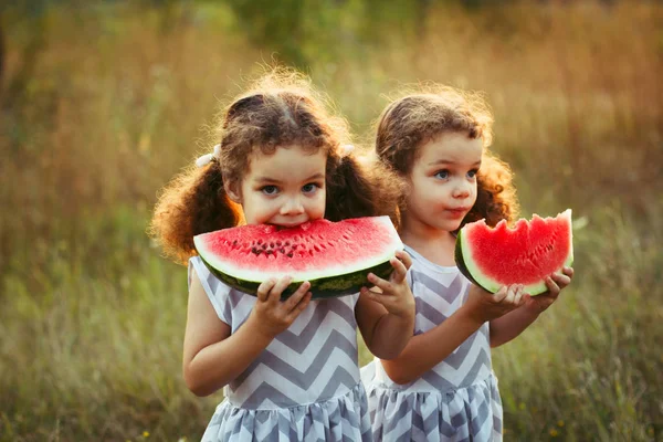 Children eating watermelon in the park. Kids eat fruit outdoors. Healthy snack for children. Little twins playing on the picnic biting a slice of water melon — Stock Photo, Image