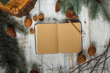 Boş kağıt sayfası vintage Xmas arka plan üzerinde. Açık kitap, çay, ağaç ve çarpmak