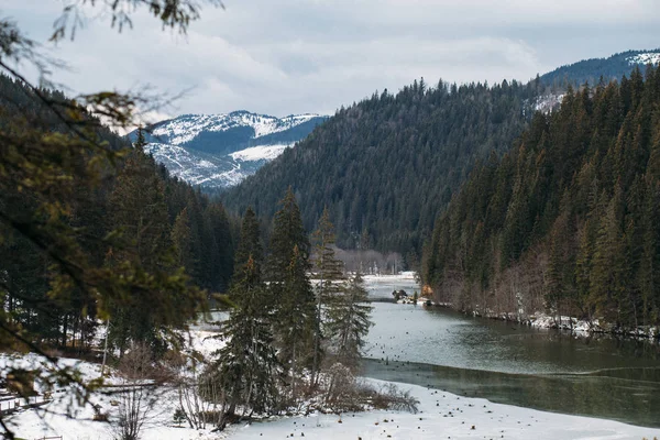 Dağ gölü manzarası, Lacu Rosu veya kırmızı Gölü ve bicaz Nehri bulutlu, yağmur hava, Doğu Karpatlar, Romanya, doğa manzara arka plan.