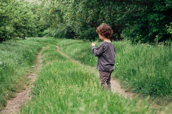 Niño alegre jugar con la hierba en la carretera del campo en el bosque. Vista posterior de adorable niño rizado —  Fotos de Stock