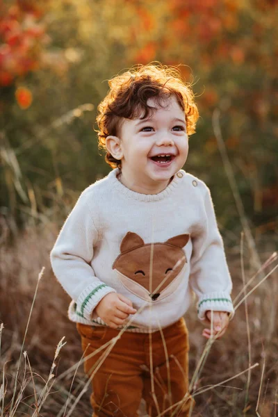 Retrato Menino Bonito Ficar Grama Criança Sorridente Criança Cabelo Encaracolado — Fotografia de Stock