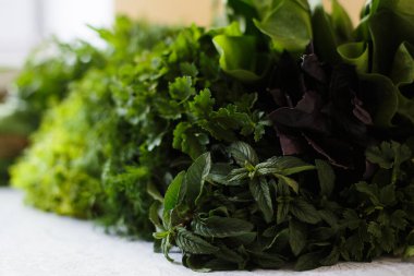 Taze otlara yakın çekim. Maydanoz ve dereotu, ıspanak, salata