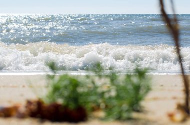 Güzel Yalı yazın 4