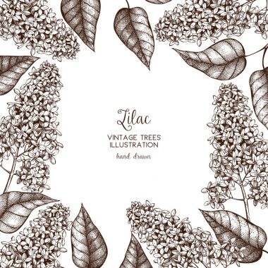 Leylak ağacı çerçeve çiçek açan dalları