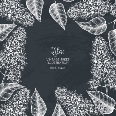 Leylak ağacı çerçeve çiçek açan dalları