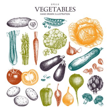 Mürekkep elle çizilmiş sebze kroki